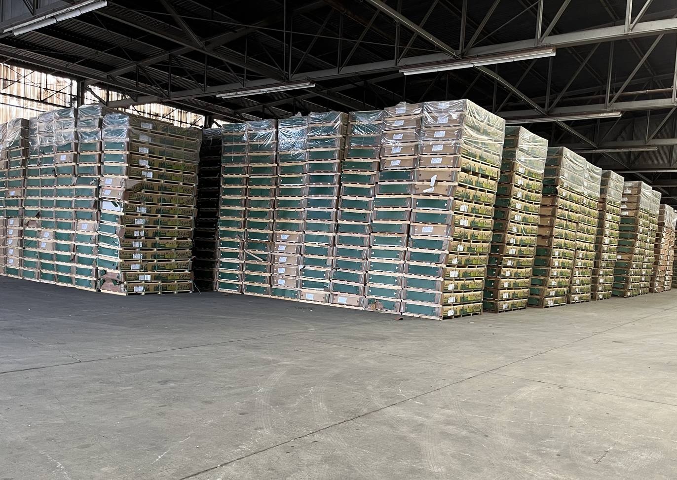 Rows of panel units in the Brooklyn warehouse